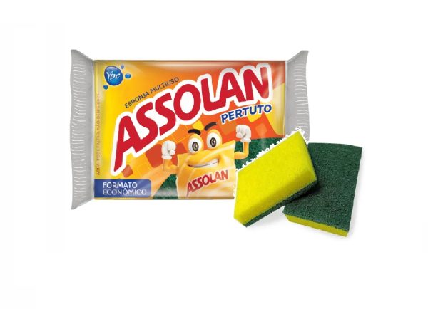 Esponja Dupla Face Multiuso 99 X 69 X 19mm Assolan